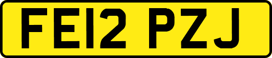 FE12PZJ