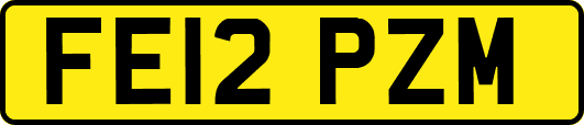 FE12PZM
