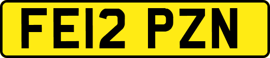 FE12PZN