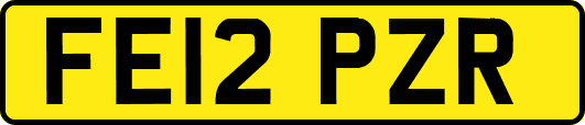 FE12PZR