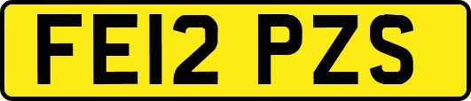 FE12PZS