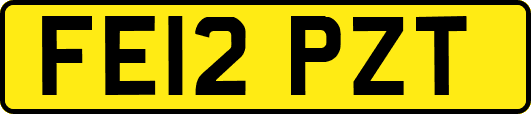 FE12PZT