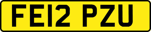 FE12PZU