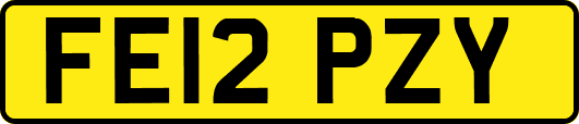 FE12PZY