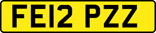 FE12PZZ