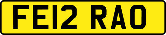 FE12RAO
