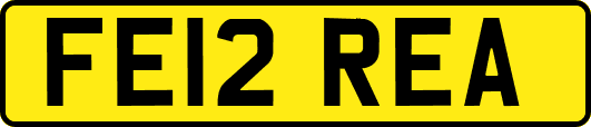 FE12REA