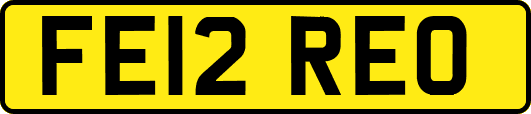 FE12REO