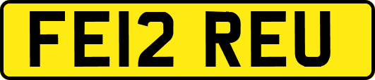 FE12REU
