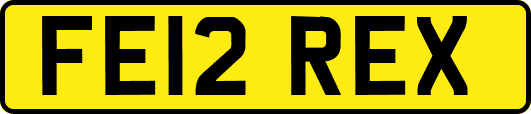 FE12REX