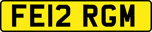 FE12RGM