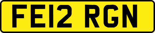 FE12RGN