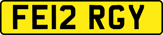 FE12RGY