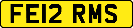 FE12RMS