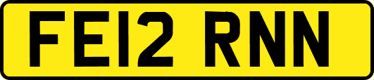 FE12RNN