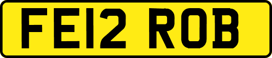 FE12ROB