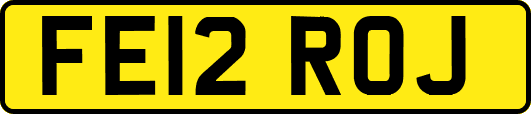 FE12ROJ