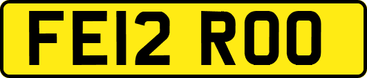 FE12ROO