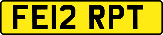 FE12RPT