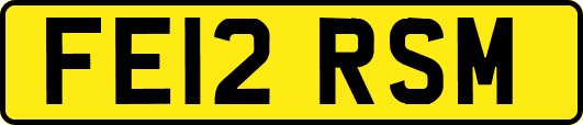FE12RSM