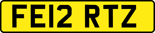 FE12RTZ