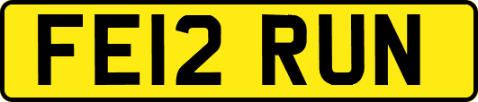 FE12RUN