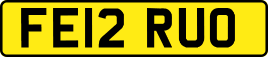 FE12RUO