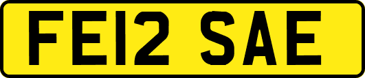 FE12SAE