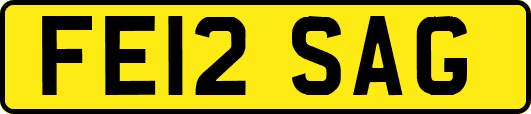 FE12SAG