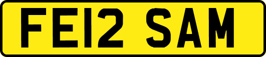FE12SAM