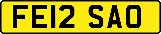 FE12SAO