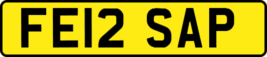 FE12SAP