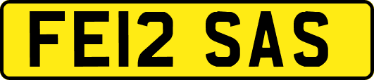 FE12SAS
