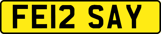 FE12SAY
