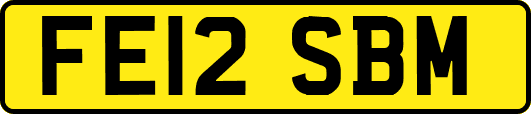 FE12SBM