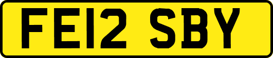 FE12SBY