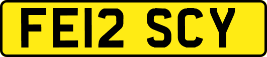 FE12SCY