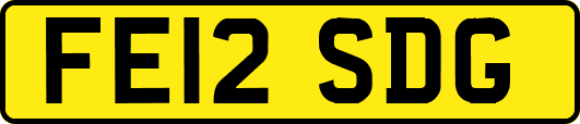 FE12SDG