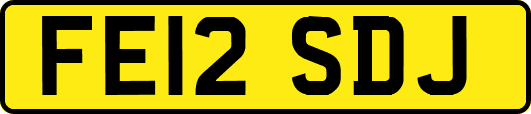 FE12SDJ