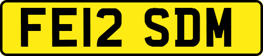 FE12SDM