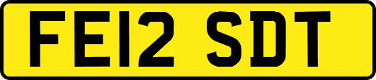 FE12SDT