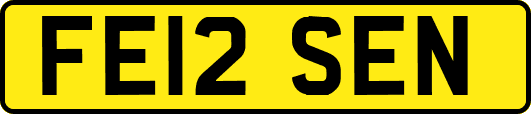 FE12SEN