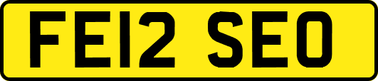 FE12SEO