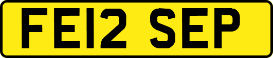 FE12SEP