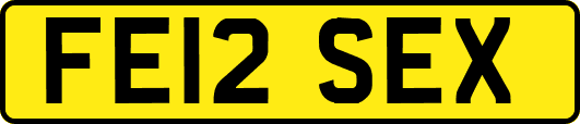 FE12SEX