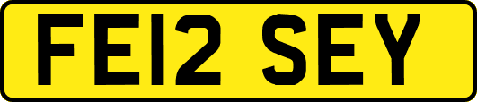 FE12SEY