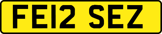 FE12SEZ