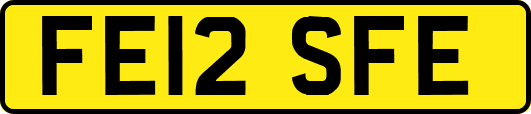 FE12SFE
