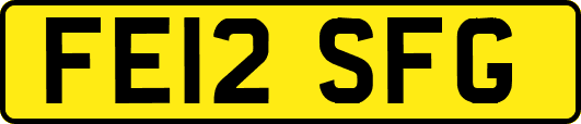 FE12SFG