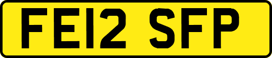 FE12SFP
